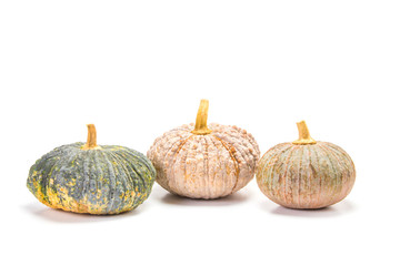 fresh asian pumpkin on white background