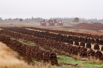 Torfabbau im Moor
