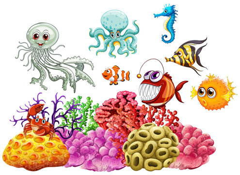 Sea animals and coral reef underwater
