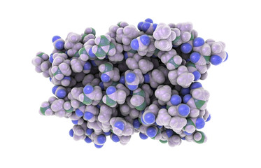 Molecular model of interferon-alpha (IFN-alpha), 3D illustration. IFN-alpha is a protein produced by leukocytes and involved in innate immune responce against viral infections