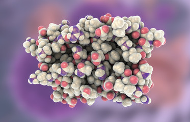 Molecular model of interferon-alpha IFN-alpha, 3D illustration. IFN-alpha is a protein produced by leukocytes and involved in innate immune responce against viral infections