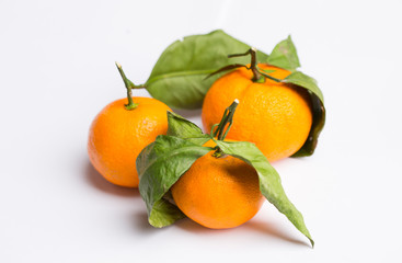 Mandarin on white
