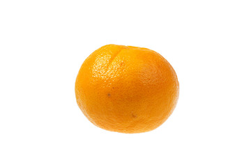 Ripe bright orange on a white background