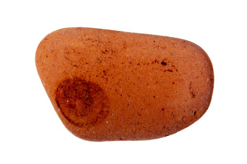 Pebble from beach against a white background