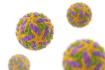 Zika virus isolated on white background, 3D illustration. A virus which causes Zika fever found in Brazil and other tropical countries