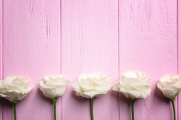 Fototapeta premium Eustoma on pink wooden background