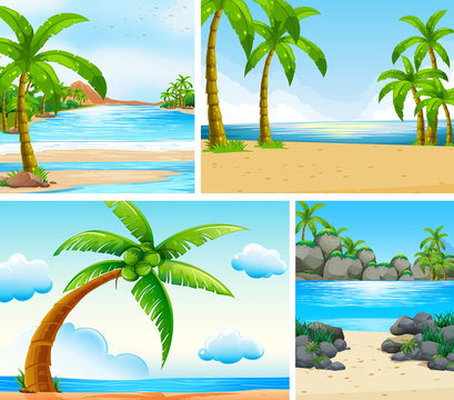Ocean scene with coconut trees on beach