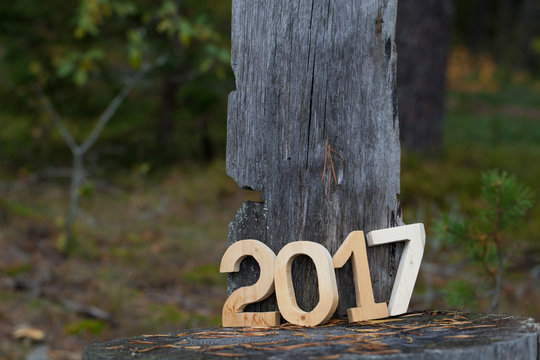 Figures 2017 in the forest. Christmas theme