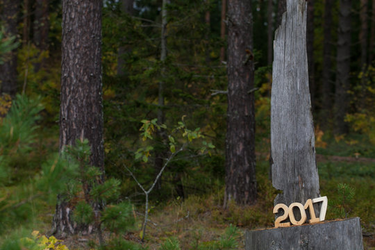 Figures 2017 in the forest. Christmas theme