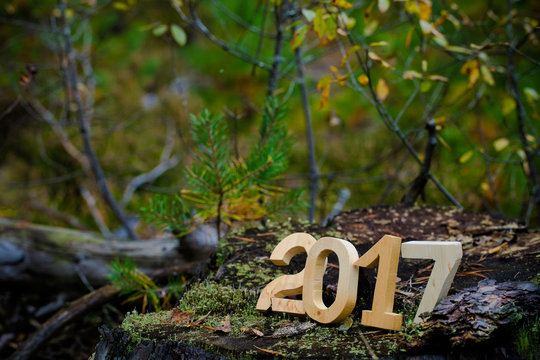 Figures 2017 on an old stump in the woods. Christmas theme. Shal