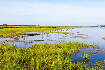 Lake with a grass meadow that goes to the water