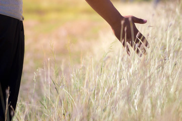 Concept of freedom with hand and meadow.