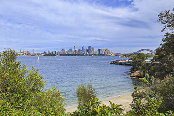 Fototapeta premium Sy CBD Bradley Bay Trees