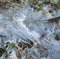 Ghiaccio. Fuoco selettivo