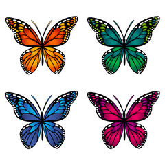 Fototapeta na wymiar colorful butterflies on white background
