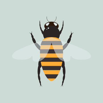 Bee illustration in cartoon style. Vector illustration
