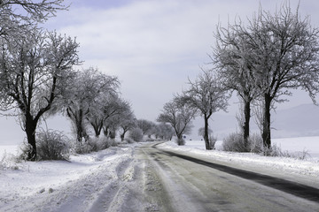Fototapeta na wymiar Beautiful snowy winter landscape with trees