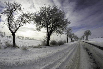 Beautiful snowy winter landscape with trees
