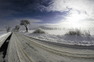 Obraz premium Beautiful snowy winter landscape with trees