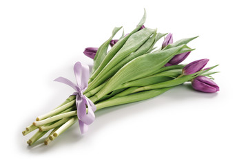 fresh purple tulips tied with ribbon isolated on white background