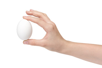 female teen hand holding white chicken egg isolated on white background