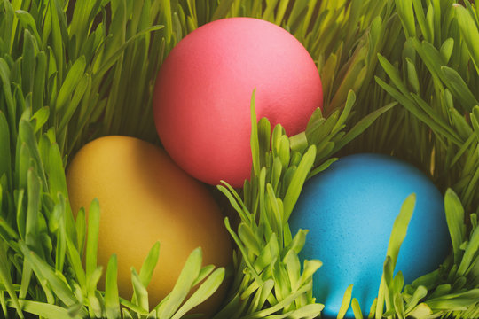 three colorful easter eggs in the grass, vintage toned photo