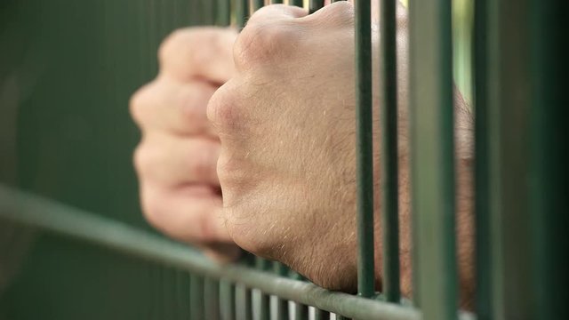 man hands shaking the bars of the cage