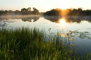 Fog over a pond, sunrise, river Pripyat Reserve Mid-Pripyat, Brest region, Belarus, summer, June, morning,