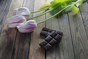 Tulip and chocolate