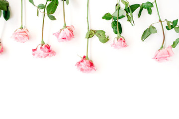 Obraz na płótnie Canvas Pink roses on white background. Flat lay, top view. Valentine's background. Header
