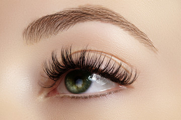 Naklejka premium Perfect shape of eyebrows, brown eyeshadows and long eyelashes. Closeup macro shot of fashion smoky eyes visage