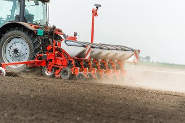Fototapeta premium seeding crops at field
