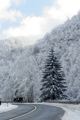 Snowy road in winter