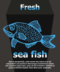 Fish carp vector