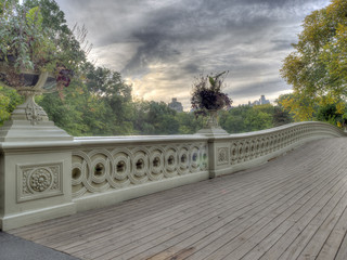 Red Admiral, Vanessa atalanta