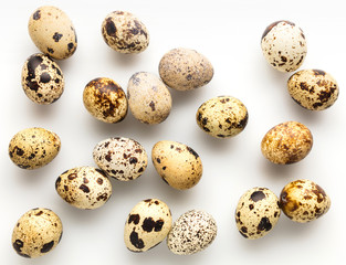raw quail eggs closeup