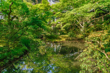 Fototapeta na wymiar japanese landscape - enkoji - kyoto