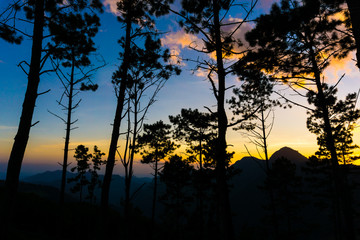 Colorful sunset sky with pine tree on mountain