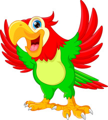 cute parrot cartoon