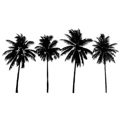 set of silhouette coconut trees, natural sign, vector - 134202986