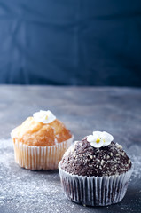 homemade chokolate and vanilla capcakes