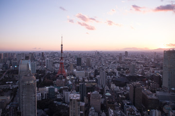 東京タワーと東京都心の夕景