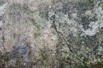 Sandstone macro texture