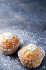 homemade vanilla capcakes