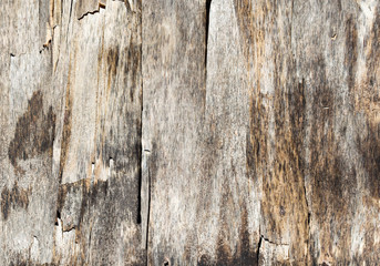 Old weathered plywood background