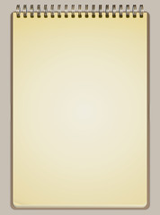 Blank opened notebook