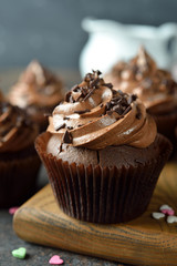 Chocolate cupcakes