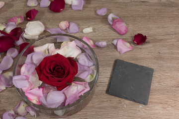 Rose im Wasserglas mit Blütenblättern 