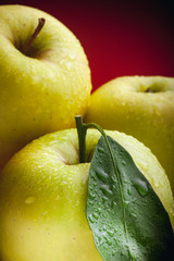 Large beautiful green apples with a leaf and water drops on a red background