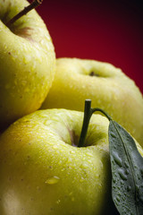 Large beautiful green apples with a leaf and water drops on a red background